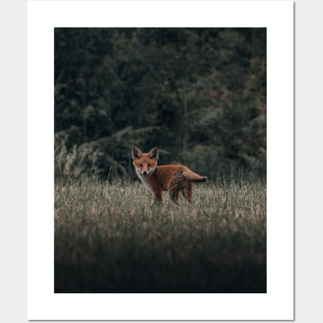 Red fox Wall Art by withluke